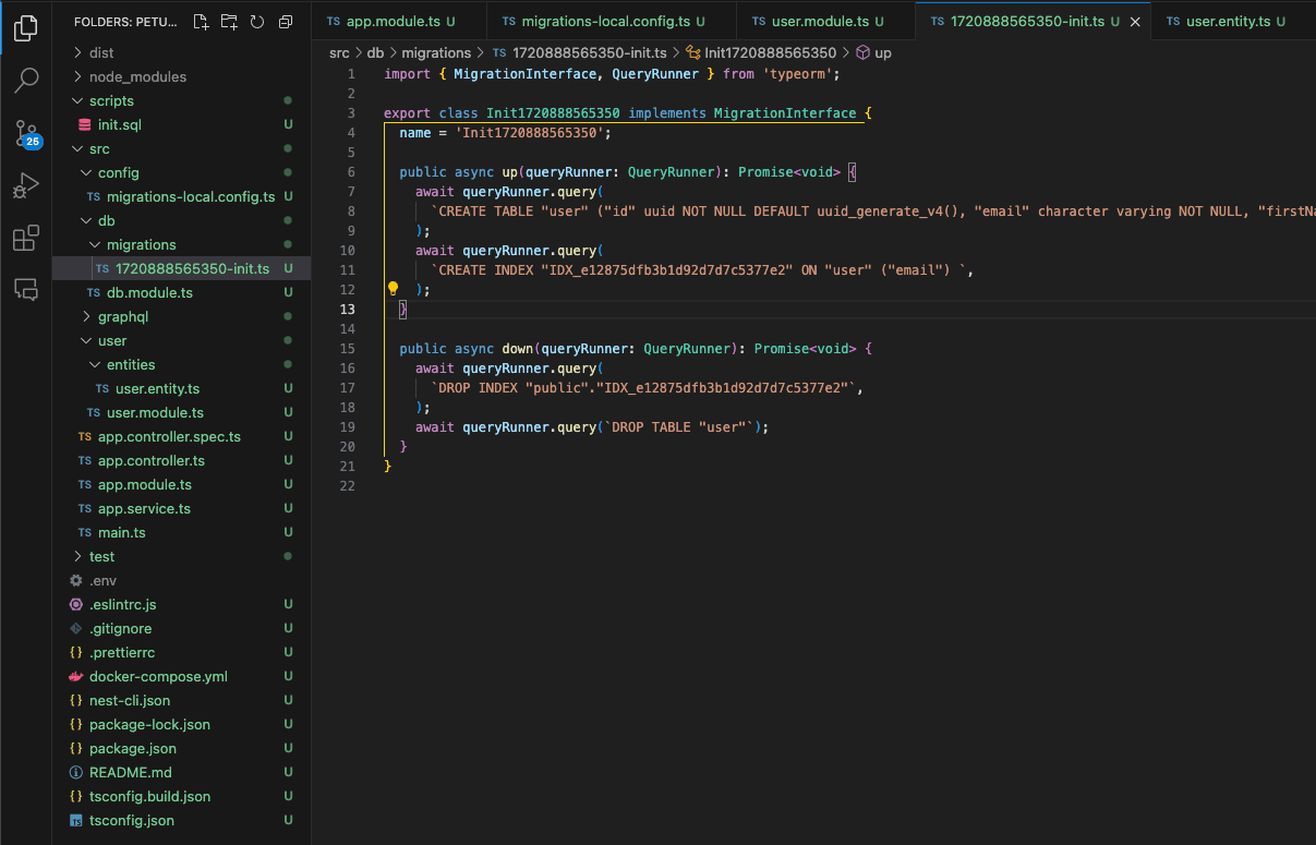 Init Migrations NestJS